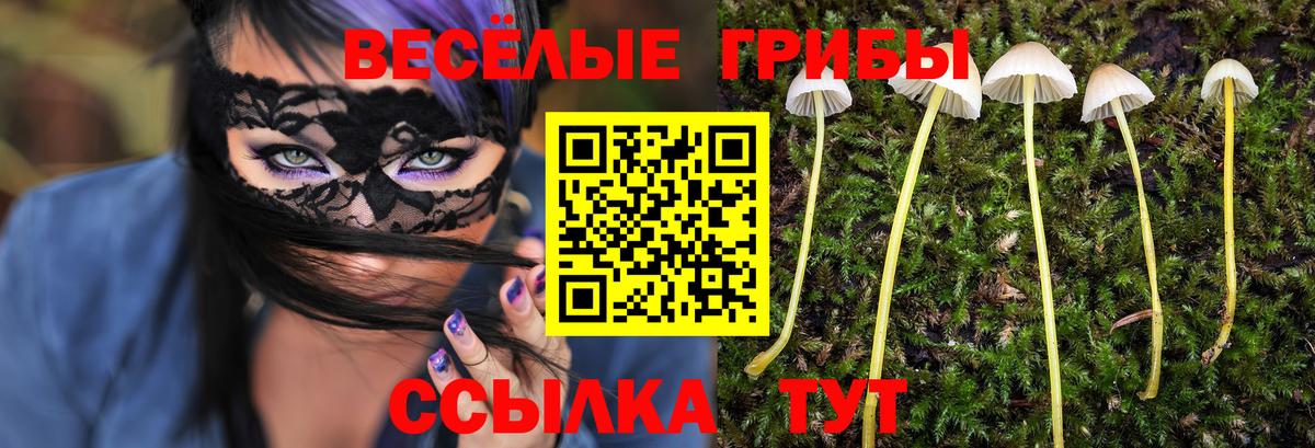 Псилоцибиновые грибы мухоморы Алатырь